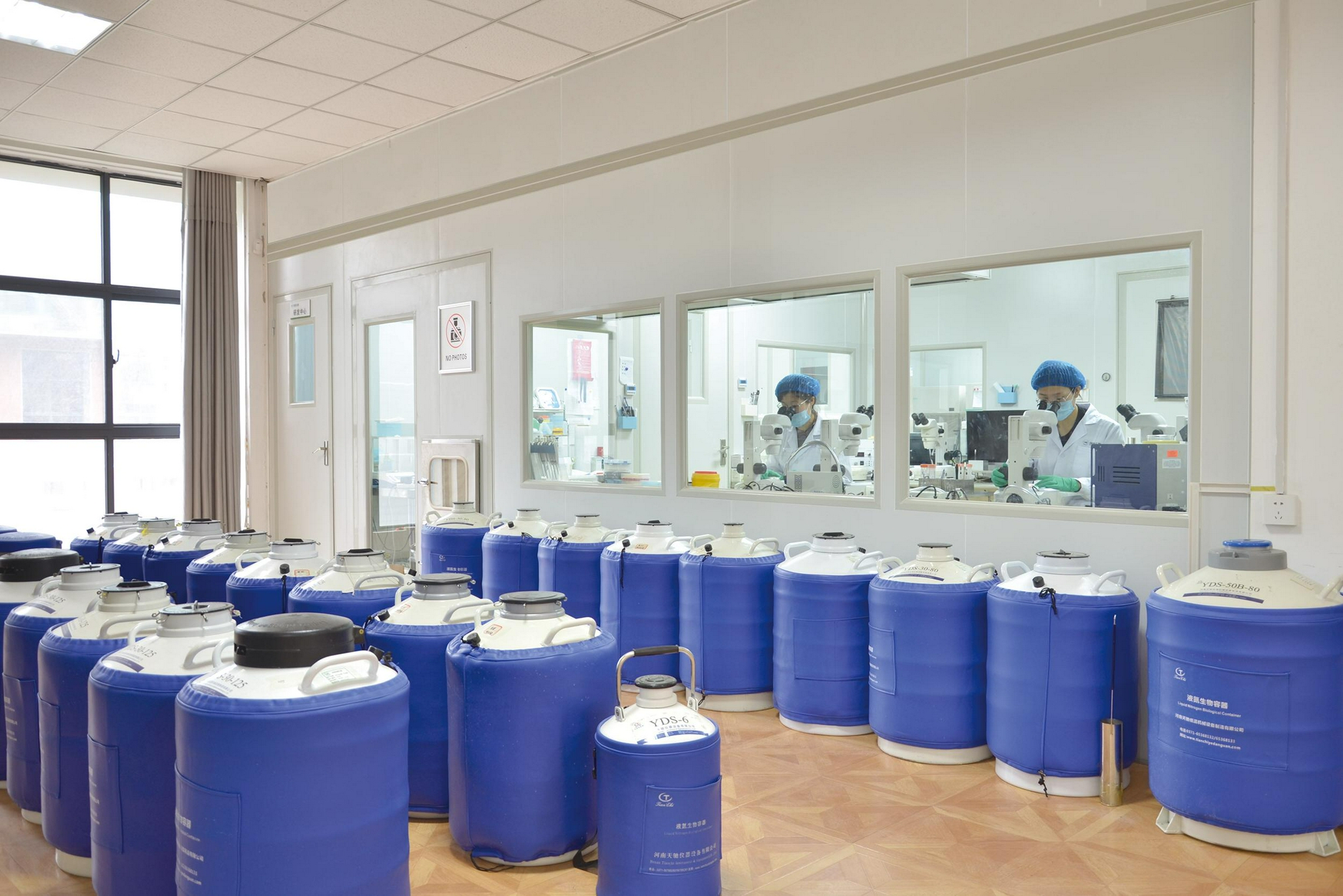 体细胞克隆技术赋能共创畜禽种业中国芯