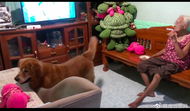 狗狗去世前,老奶奶还在它的耳边唠叨,最后亲吻额头的一幕泪目了休闲区蓝鸢梦想 - Www.slyday.coM 狗狗去世前,老奶奶还在它的耳边唠叨,最后亲吻额头的一幕泪目了休闲区蓝鸢梦想 - Www.slyday.coM