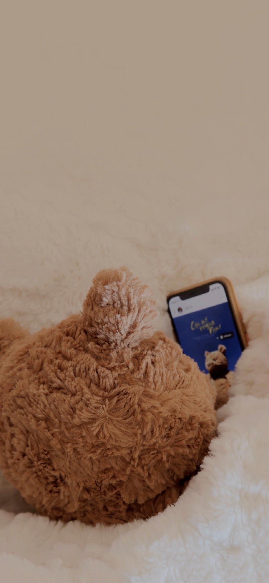 巴塞罗熊壁纸聊天背景图 好喜欢阿! 可可爱爱