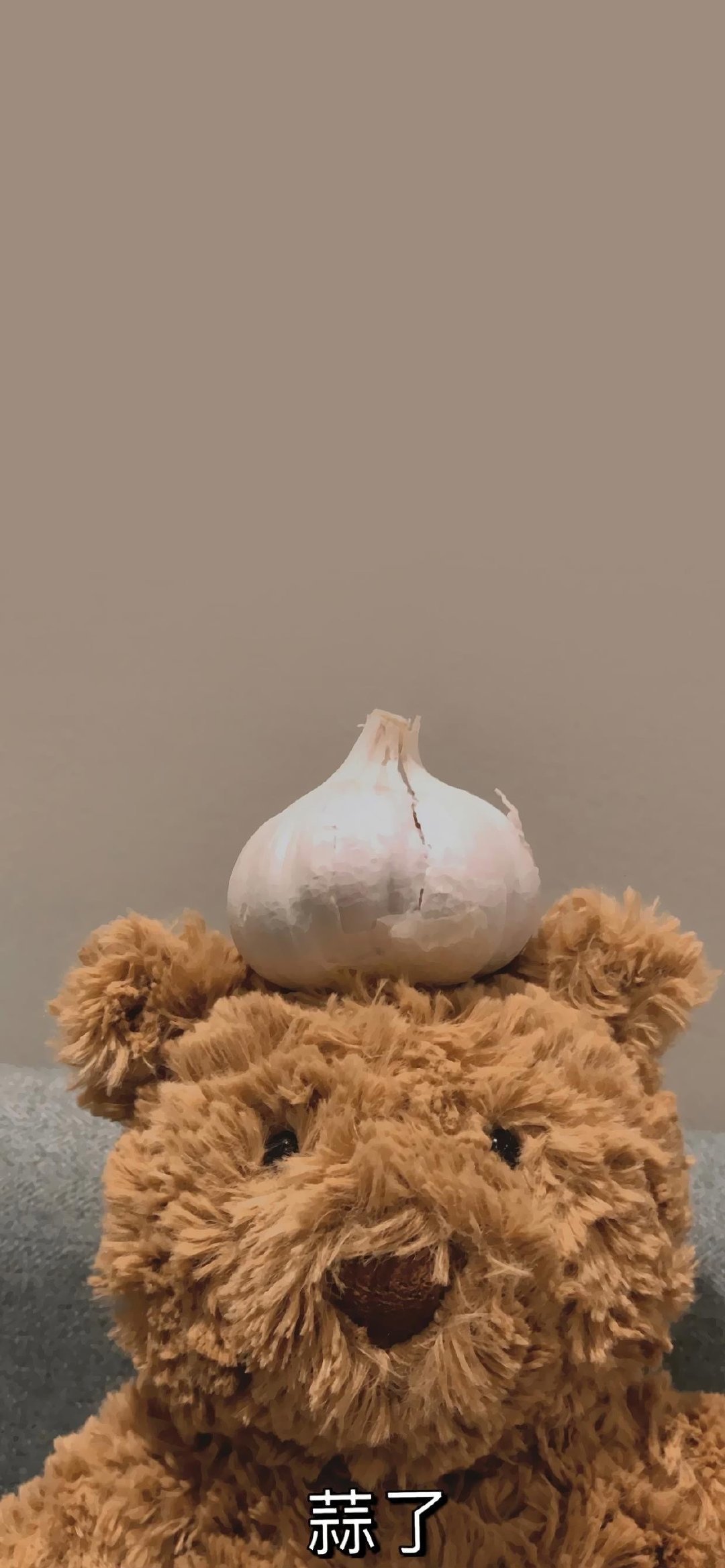 巴塞罗熊壁纸聊天背景图 好喜欢阿! 可可爱爱