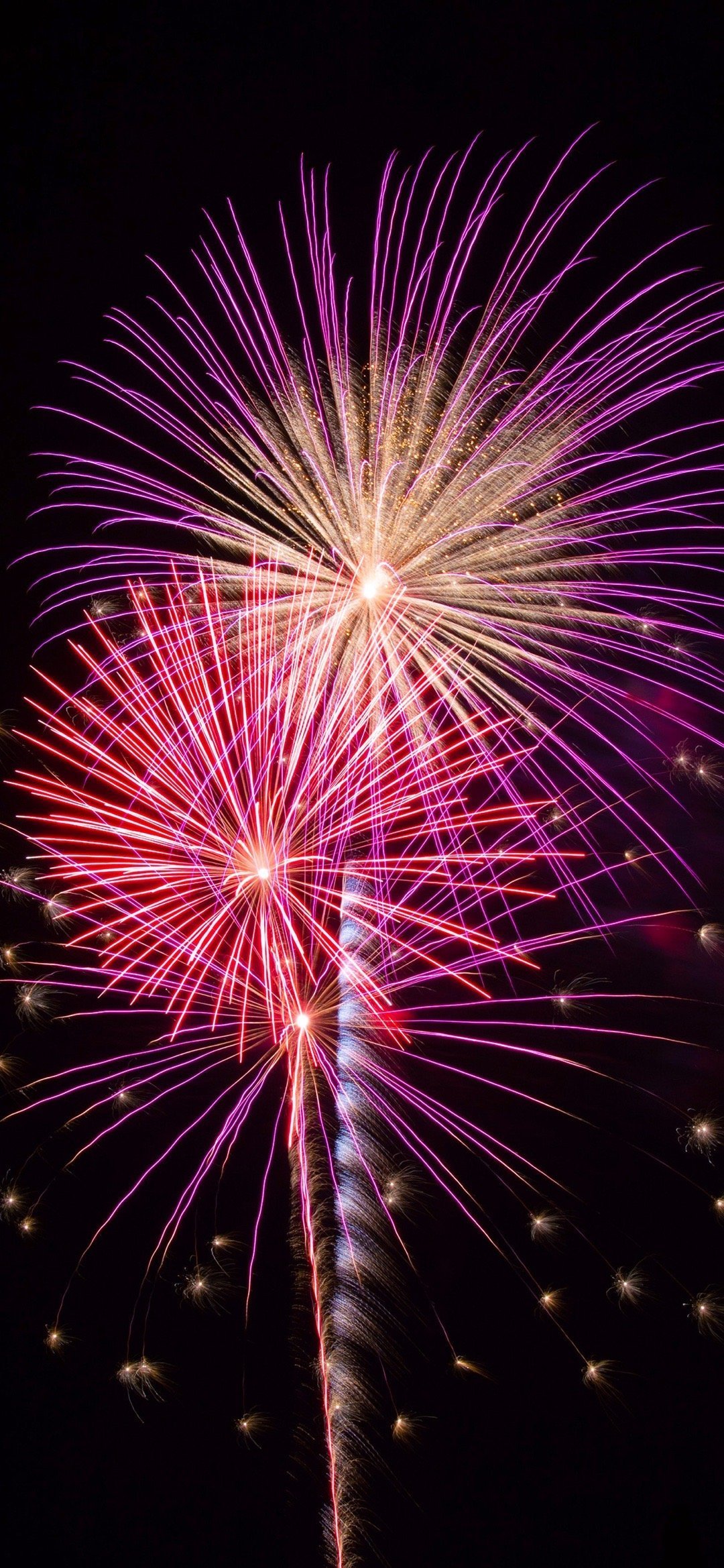 等新年烟花和更好的我们