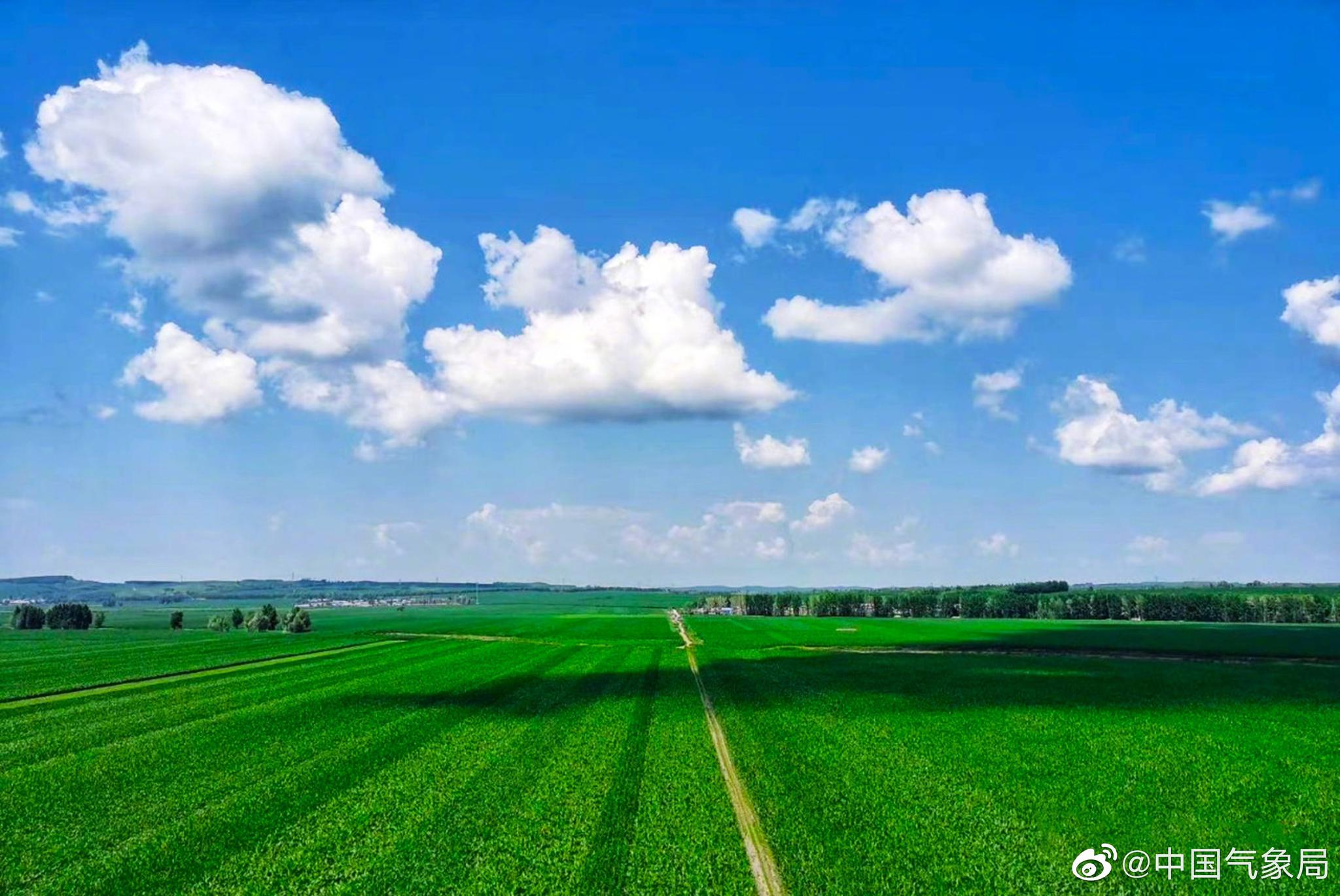 7815 午休过后醒醒神～这是电脑桌面壁纸吧?