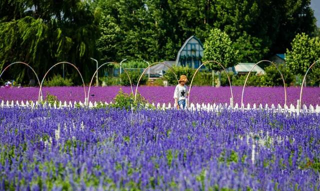 权威公布2022全年放假安排！不出济南的“全球”打卡攻略带你“一秒出国”，刷爆朋友圈！休闲区蓝鸢梦想 - Www.slyday.coM