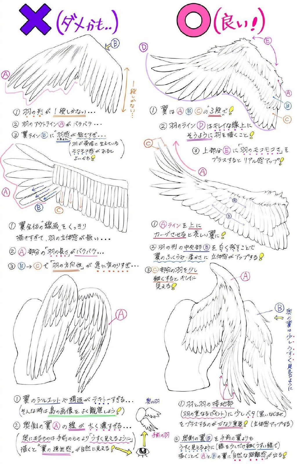 翅膀的画法参考__财经头条