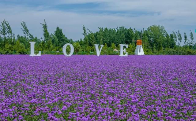 权威公布2022全年放假安排！不出济南的“全球”打卡攻略带你“一秒出国”，刷爆朋友圈！休闲区蓝鸢梦想 - Www.slyday.coM