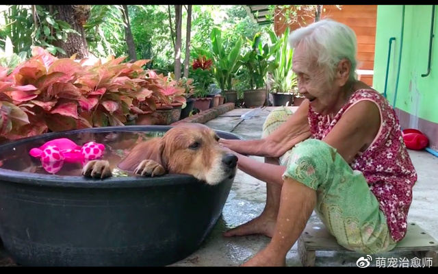狗狗去世前,老奶奶还在它的耳边唠叨,最后亲吻额头的一幕泪目了休闲区蓝鸢梦想 - Www.slyday.coM 狗狗去世前,老奶奶还在它的耳边唠叨,最后亲吻额头的一幕泪目了休闲区蓝鸢梦想 - Www.slyday.coM