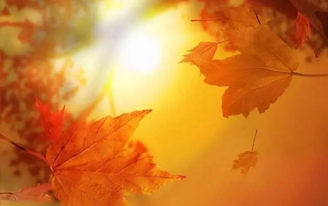 晚上11点后睡觉的人，要警惕这1件事，尤其是秋天！休闲区蓝鸢梦想 - Www.slyday.coM