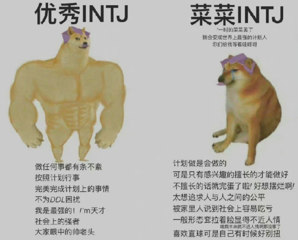 信MBTI的人贡献了今年一半的表情包