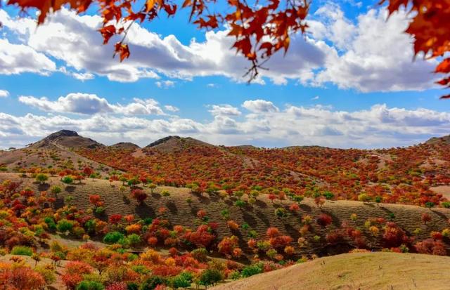 枫自然保护区科右中旗打造北方草原文旅特色这里有蜿蜒流淌的霍林河