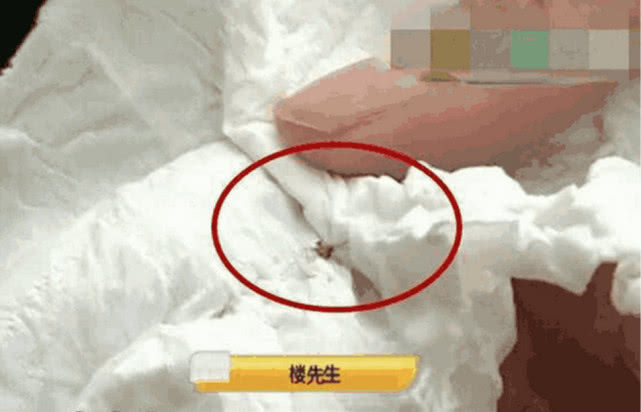 男子车内拍死一只蚊子，却把宝马玻璃拍碎了，4S店：是他不走运休闲区蓝鸢梦想 - Www.slyday.coM