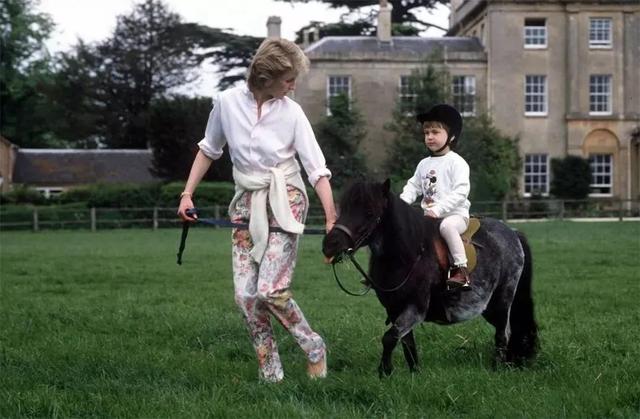 比李子柒还会生活的王子|李子柒|庄园|海格罗夫_新浪新闻