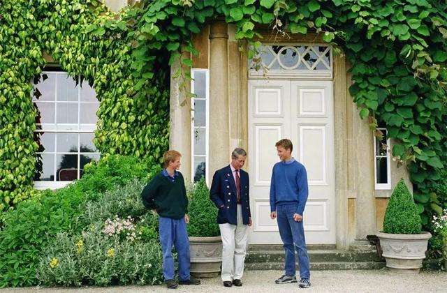 比李子柒还会生活的王子|李子柒|庄园|海格罗夫_新浪新闻