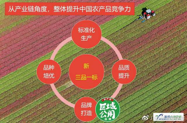 SEO优化技巧揭秘 网站排名提升秘籍