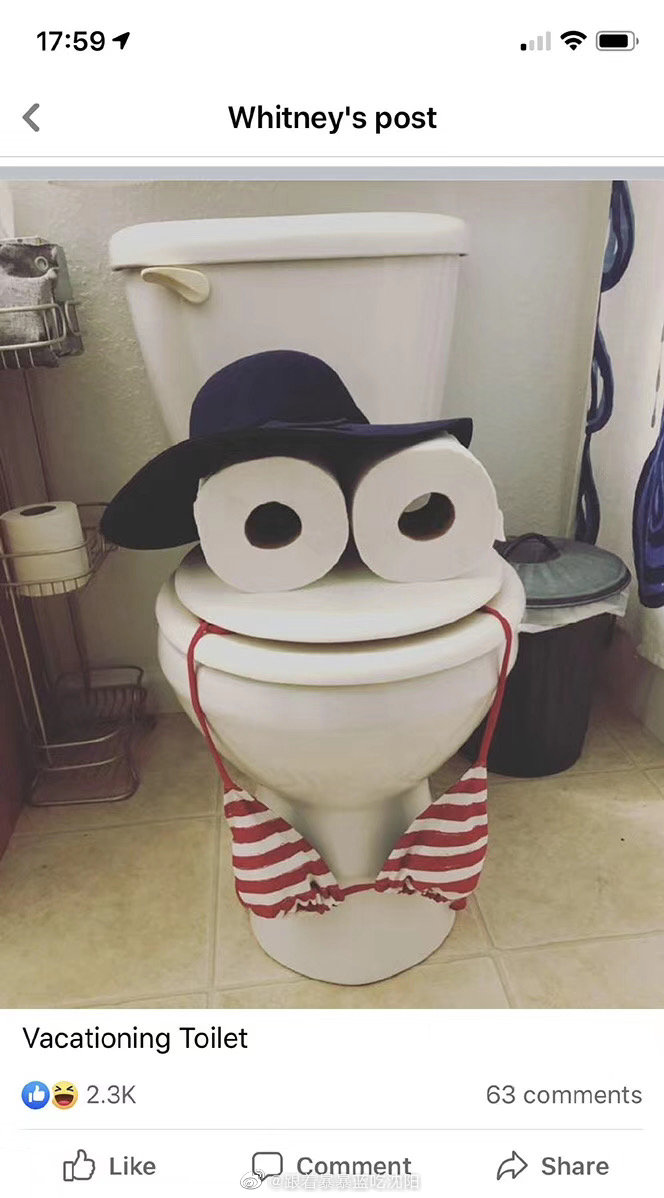 外国网友把马桶玩坏了图片依次为