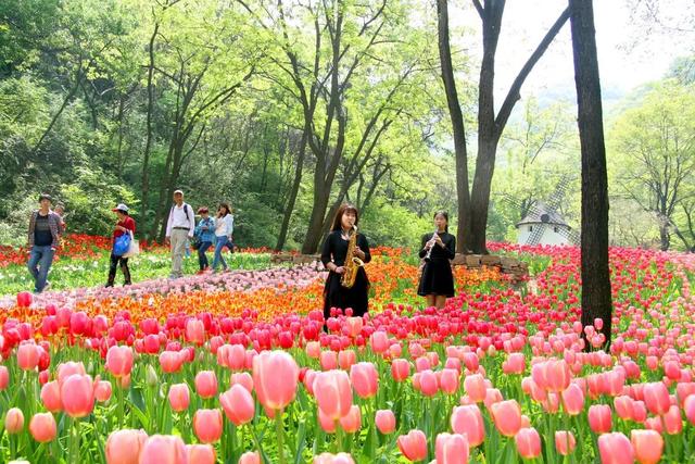 权威公布2022全年放假安排！不出济南的“全球”打卡攻略带你“一秒出国”，刷爆朋友圈！休闲区蓝鸢梦想 - Www.slyday.coM