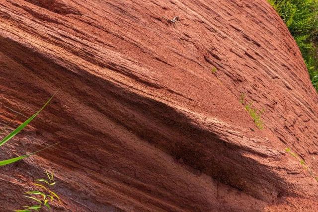 权威公布2022全年放假安排！不出济南的“全球”打卡攻略带你“一秒出国”，刷爆朋友圈！休闲区蓝鸢梦想 - Www.slyday.coM