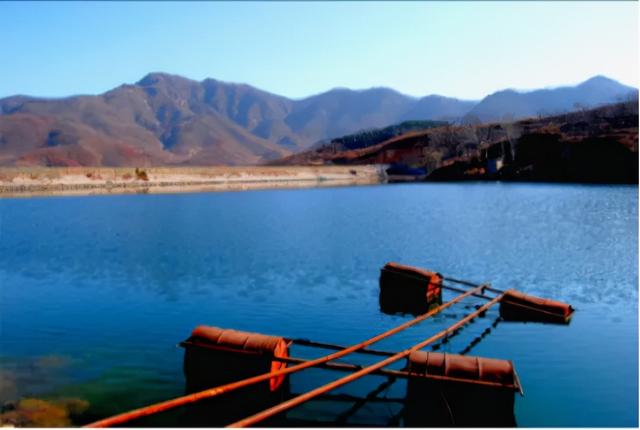 凉州区西营镇五沟湾村坐落在美丽的西营水库边,这里承载着凉州区四分