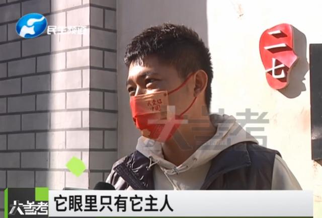 主人去世狗狗被带走后从60公里外跑回，守候在家门口两年休闲区蓝鸢梦想 - Www.slyday.coM
