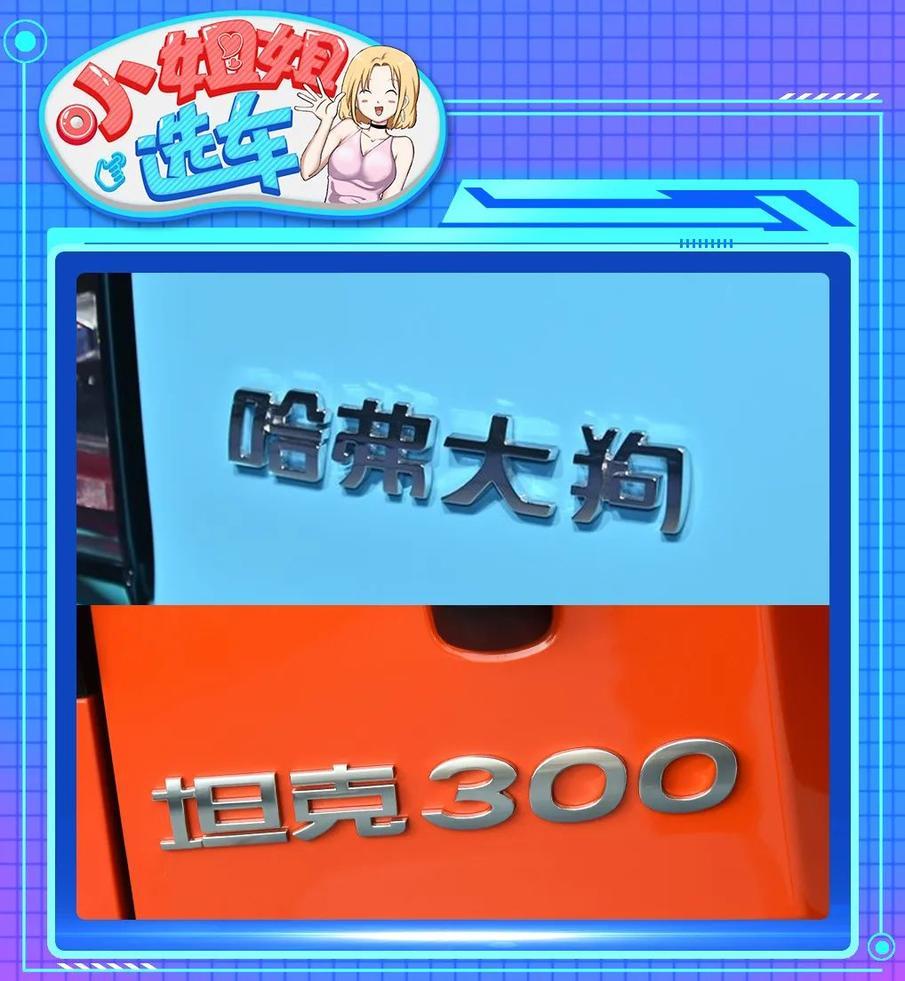 【小姐姐选车】哈弗大狗2.0T对比WEY坦克300