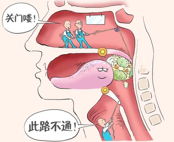 蛇类吞食能力极限 蟒蛇能吞下多大猎物