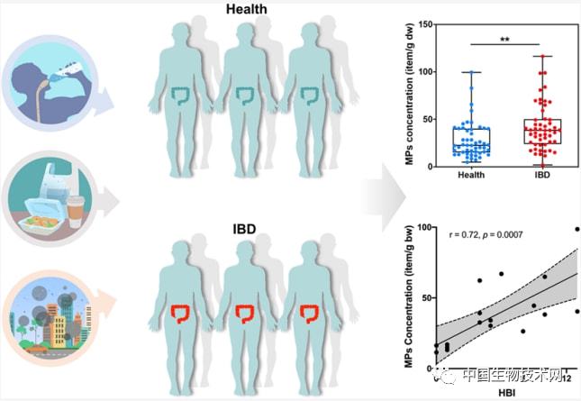 科学家首次在人体血液中发现微塑料！或已遍布全身...休闲区蓝鸢梦想 - Www.slyday.coM