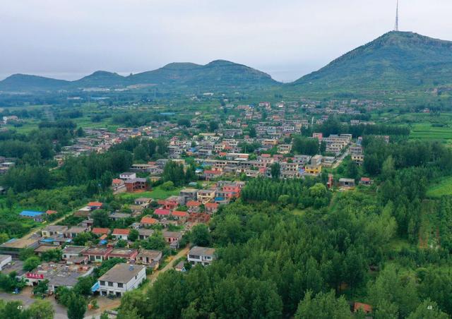 薛城区沙沟镇张庄村农旅结合打开乡村振兴新路子