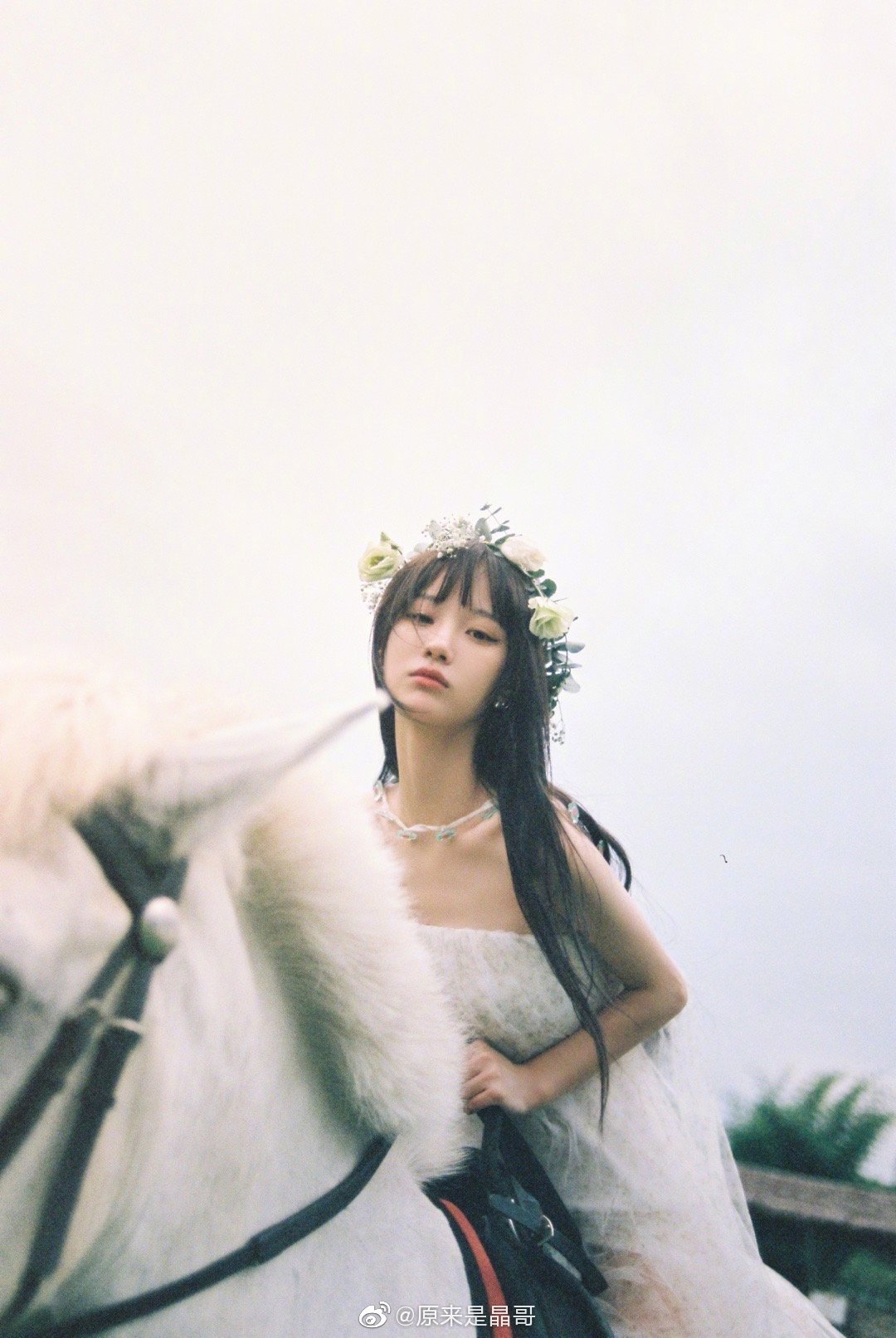 网爆网红李晶pian钱!