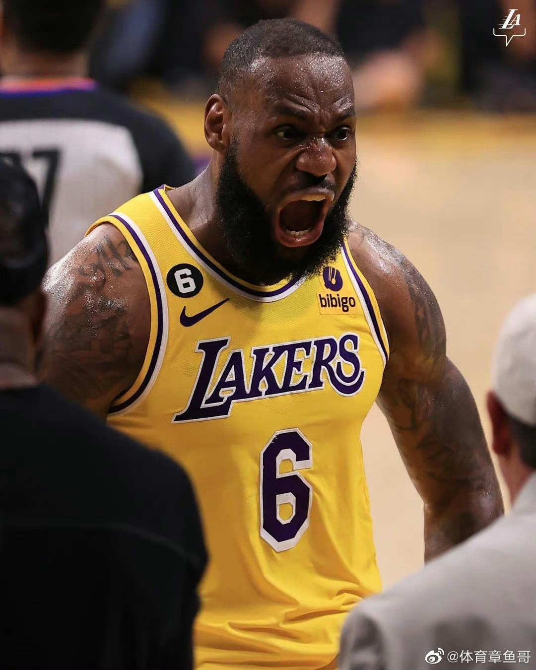 詹姆斯NBA季后赛表现全解析关键时刻的统治力无人能及