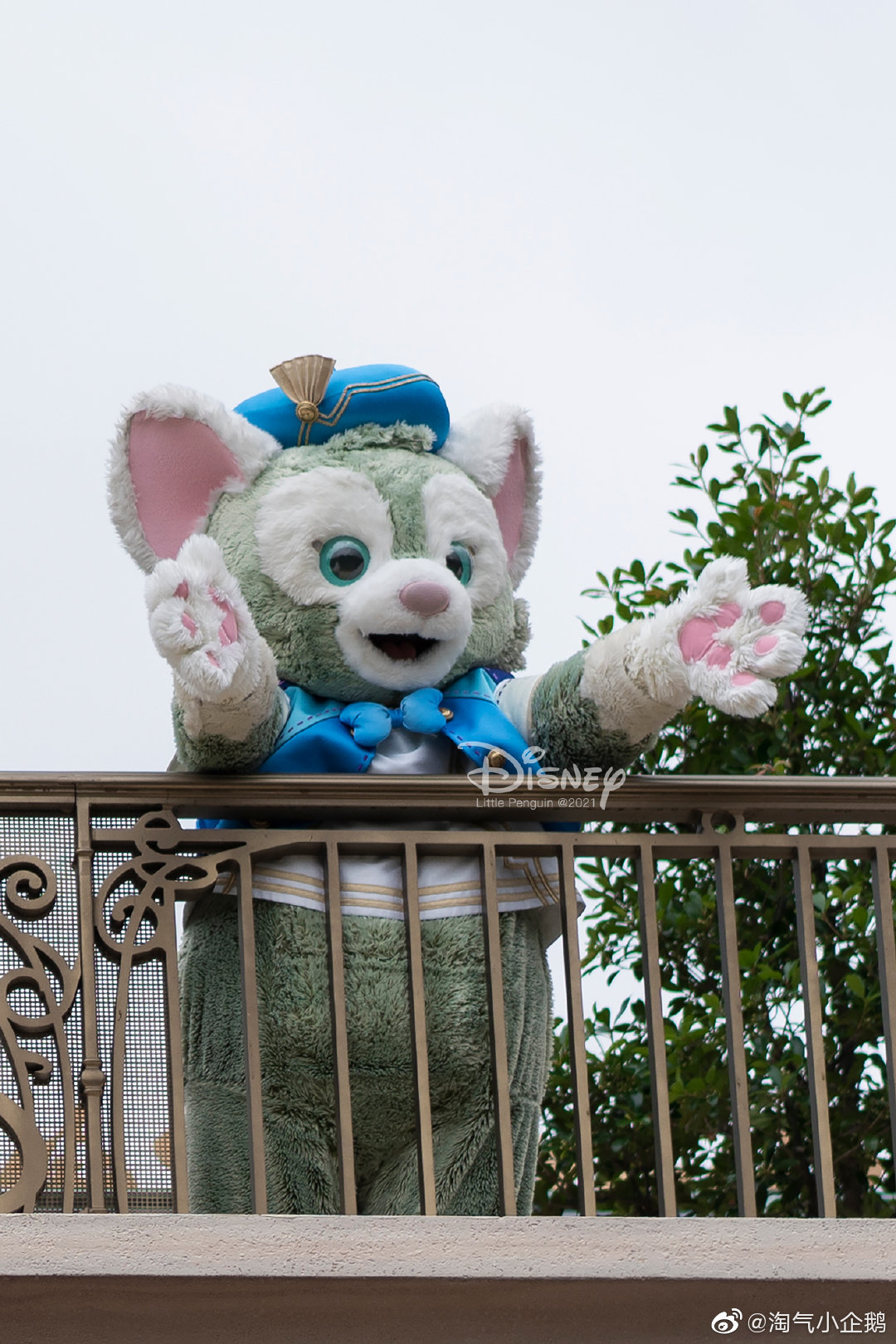 迪士尼的大可爱之一,画家杰拉多尼,一只可爱的小猫咪~ 喵