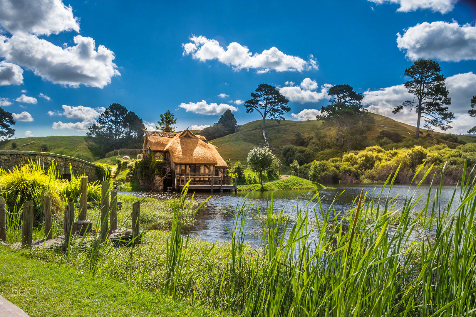 玛塔玛塔,是一个盛产奶牛的著名小镇