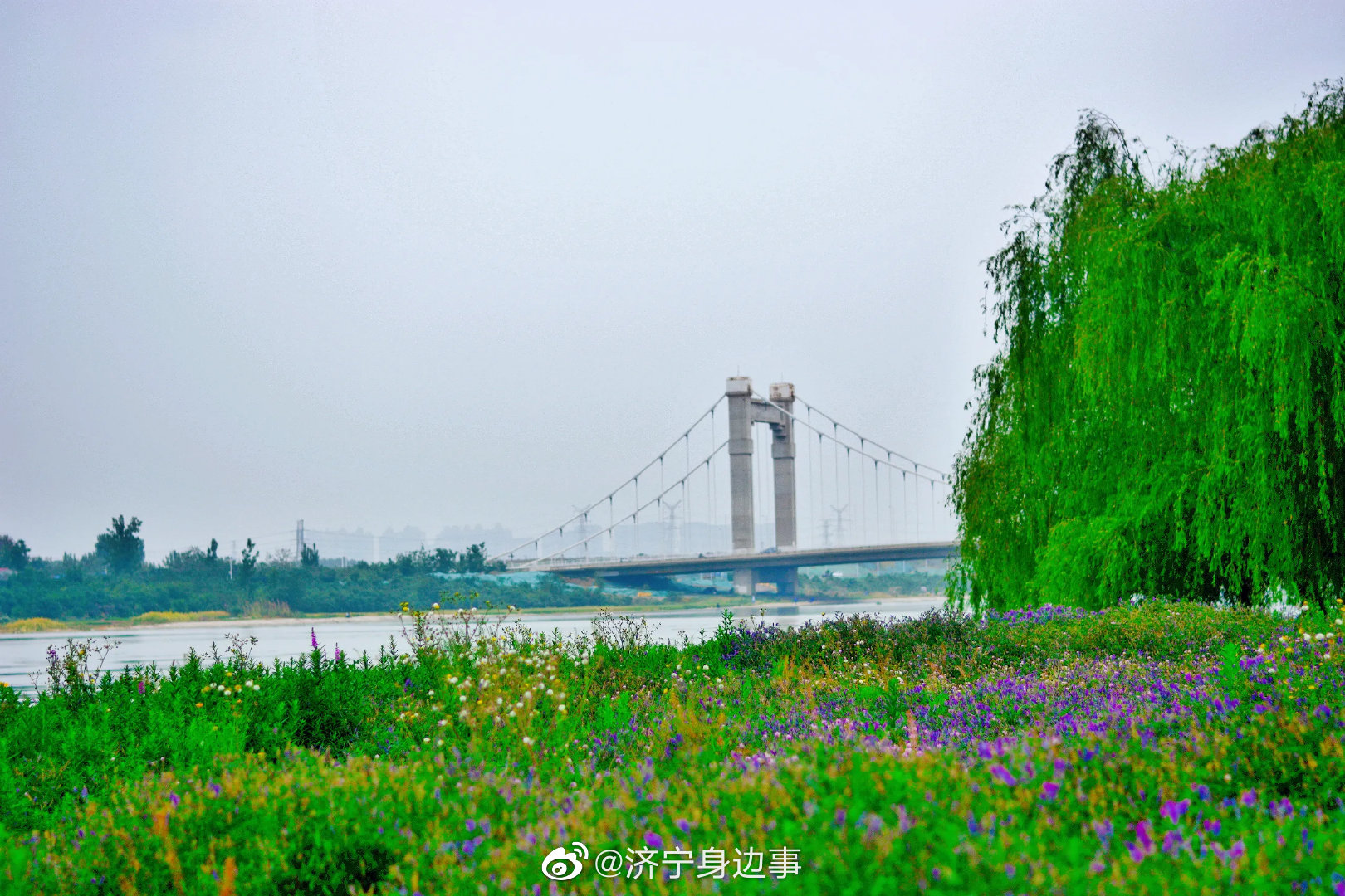 济宁 坐标八里庙大桥南