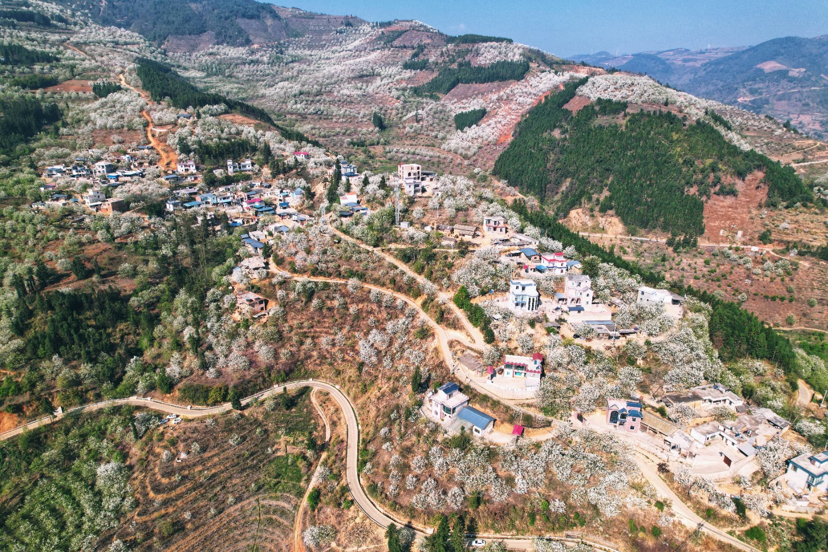 行走个旧加级寨梨花谷__财经头条