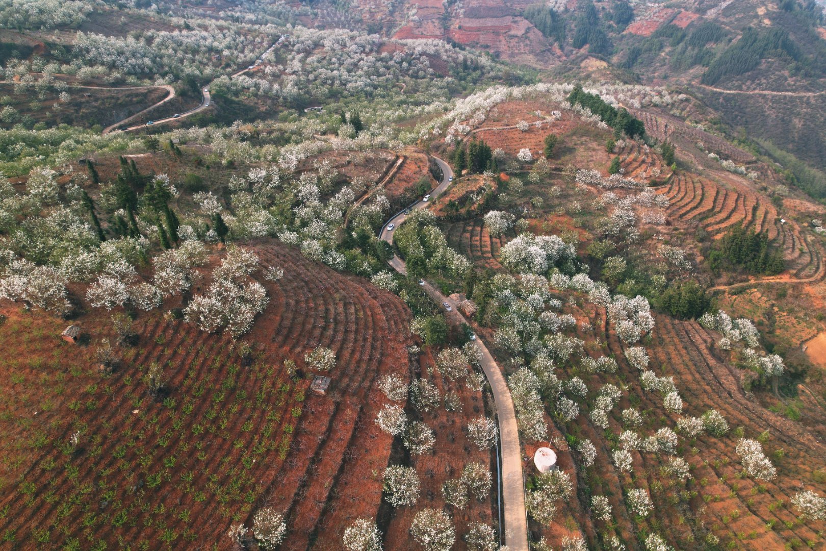 行走个旧加级寨梨花谷__财经头条