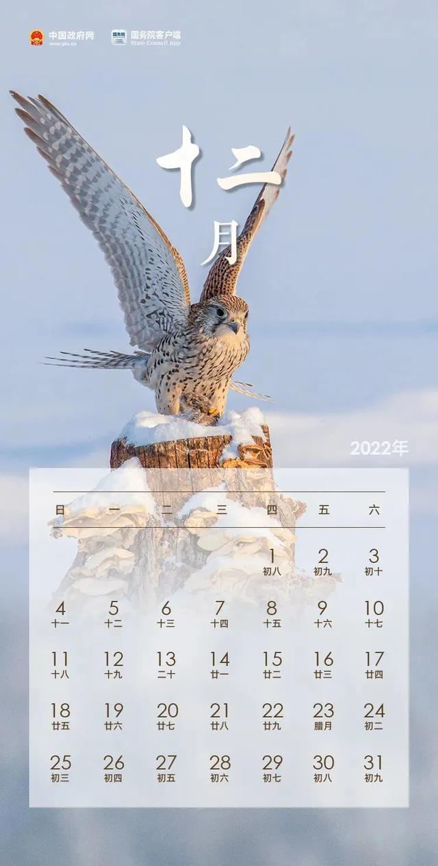 权威公布2022全年放假安排！不出济南的“全球”打卡攻略带你“一秒出国”，刷爆朋友圈！休闲区蓝鸢梦想 - Www.slyday.coM