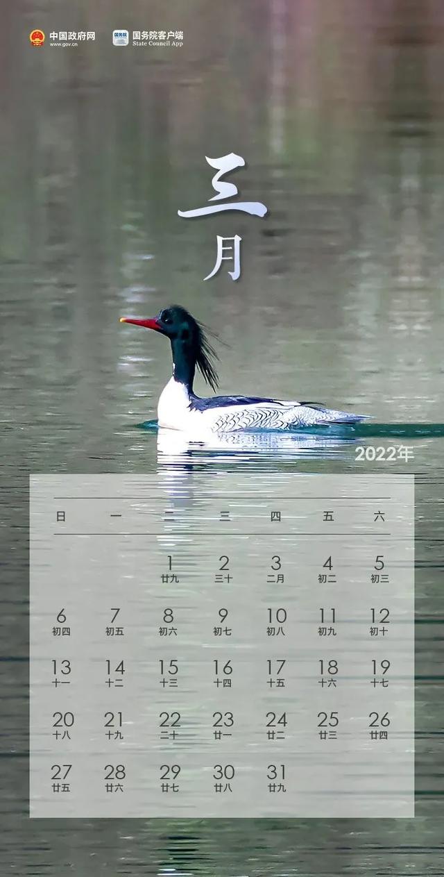 权威公布2022全年放假安排！不出济南的“全球”打卡攻略带你“一秒出国”，刷爆朋友圈！休闲区蓝鸢梦想 - Www.slyday.coM