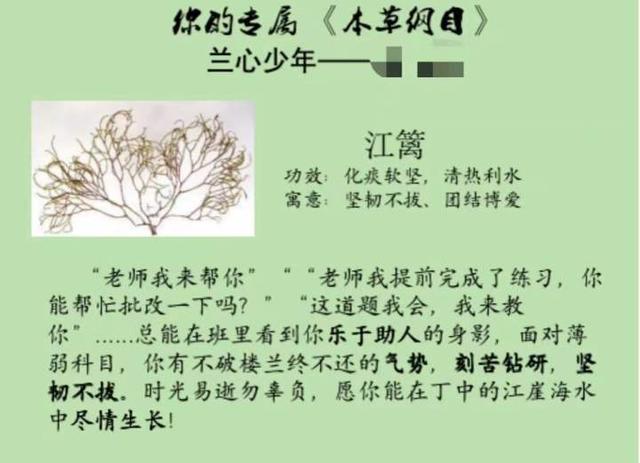 “你的专属《本草纲目》”、思维导图评语……老师们的这些期末评语绝了休闲区蓝鸢梦想 - Www.slyday.coM