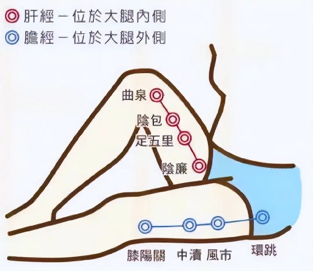 自古就有肝胆相照的说法,在拍打肝经的同时也要顺带上胆经,这两条经也