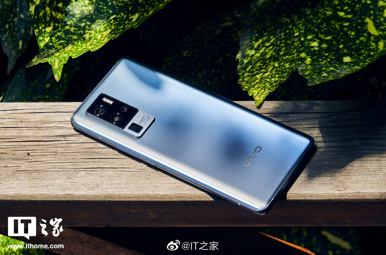 vivo x50 pro 引力配色图赏