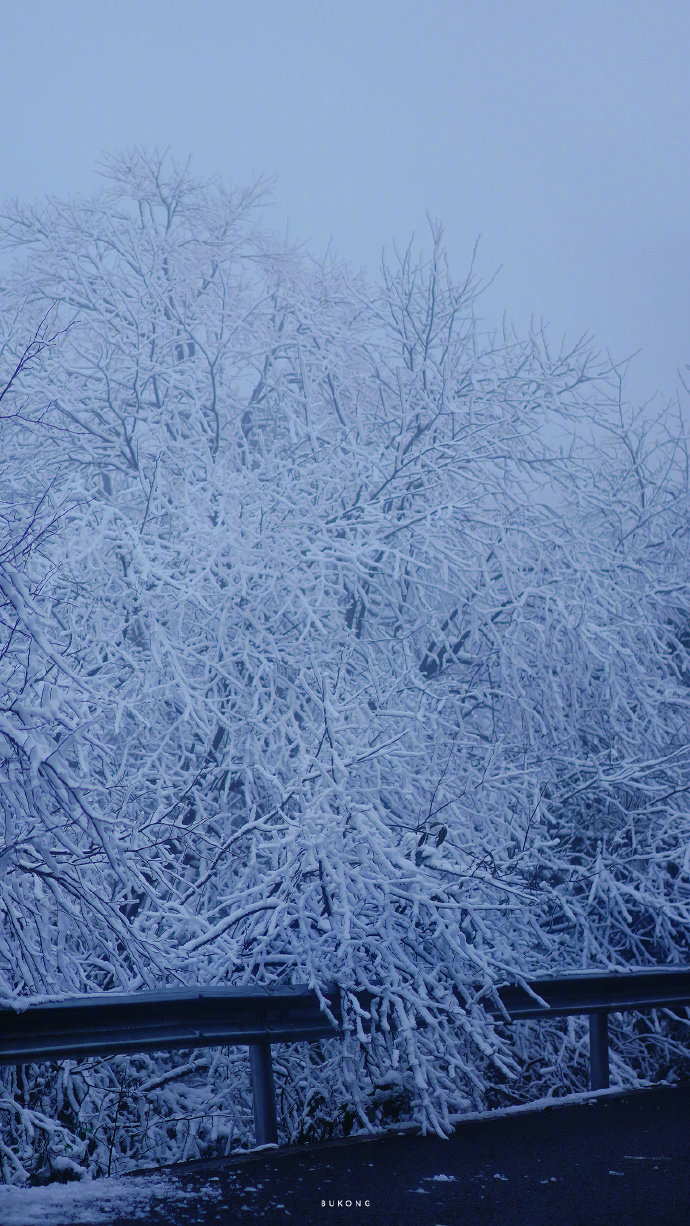 寒天凋万物大雪润无声