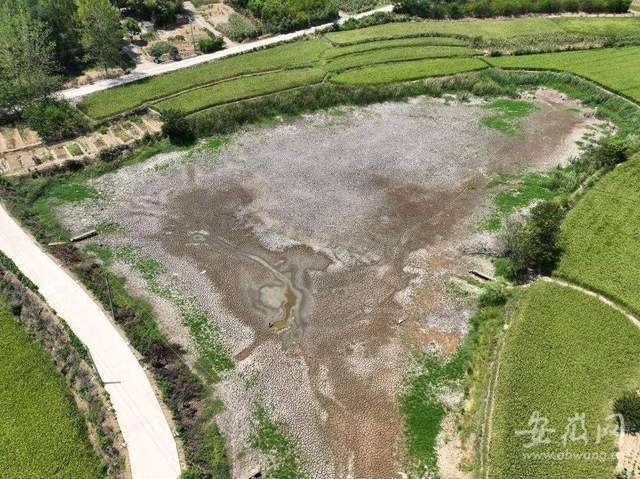 长江雨变多!大暴雨、更强冷空气将到南方!预报:局地降温超16度休闲区蓝鸢梦想 - Www.slyday.coM 长江雨变多!大暴雨、更强冷空气将到南方!预报:局地降温超16度休闲区蓝鸢梦想 - Www.slyday.coM