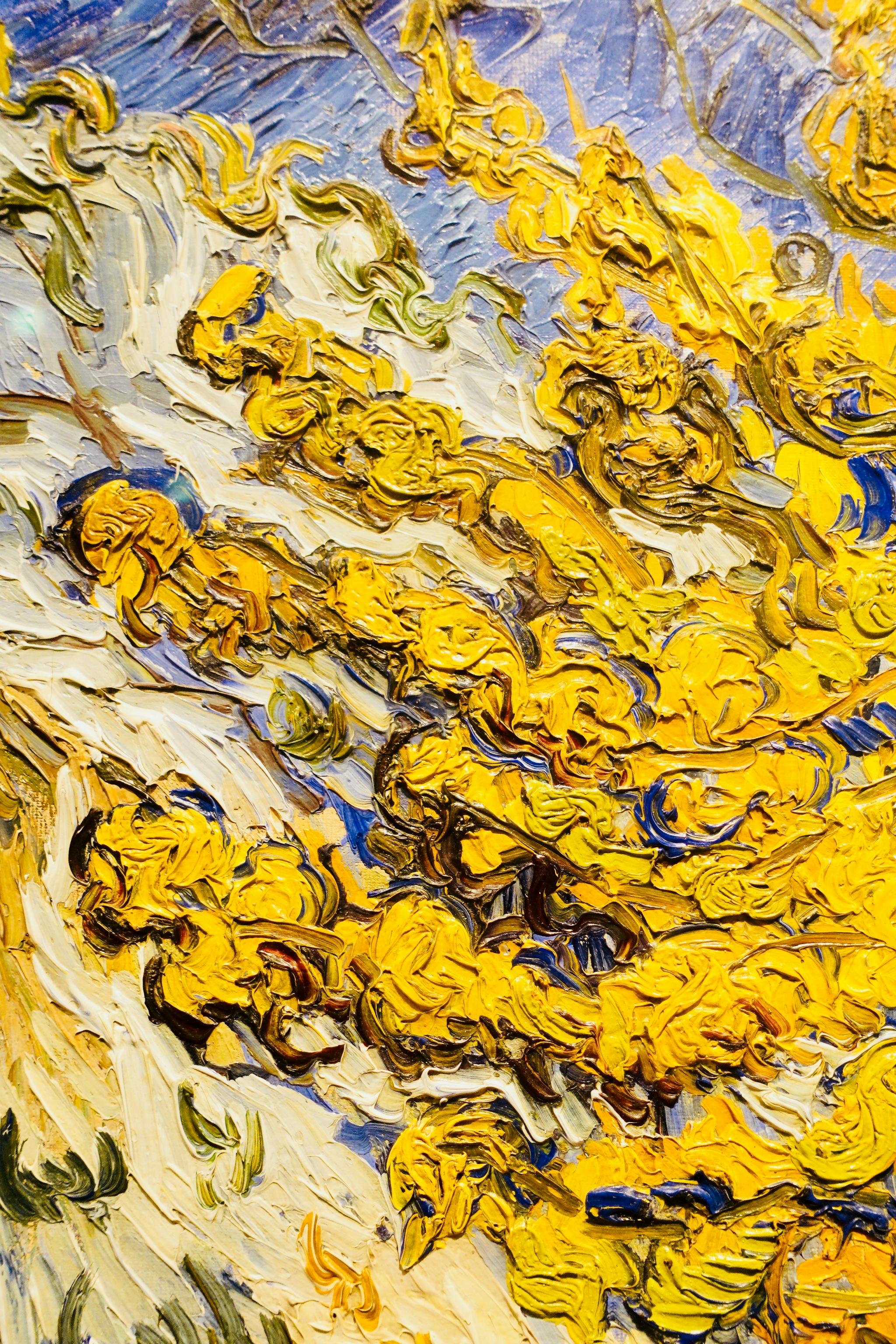 笔触 梵高作品细节