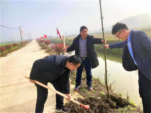 汉川市南河乡开展打造"花园式"农业专业合作社植树活动
