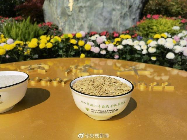 袁隆平院士骨灰在长沙安葬 这句话看哭了无数人休闲区蓝鸢梦想 - Www.slyday.coM