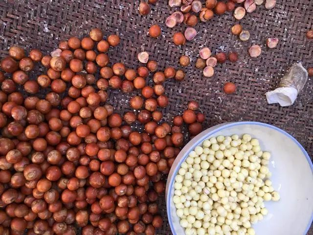 脾胃最喜欢的4种食物：秋天容易气血虚的人，照着吃就对了！休闲区蓝鸢梦想 - Www.slyday.coM