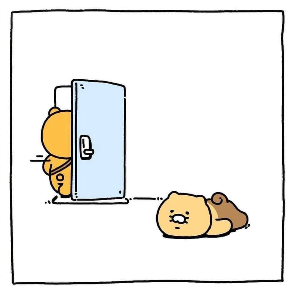 哦 韩国加入新成员了 就是ryan养的这只猫 名字叫做춘식 春植 哦 韩国加入新成员了 就是ryan养的这只猫 名字叫做춘식 春植