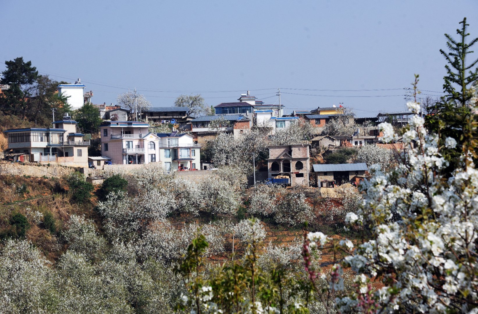 行走个旧加级寨梨花谷__财经头条