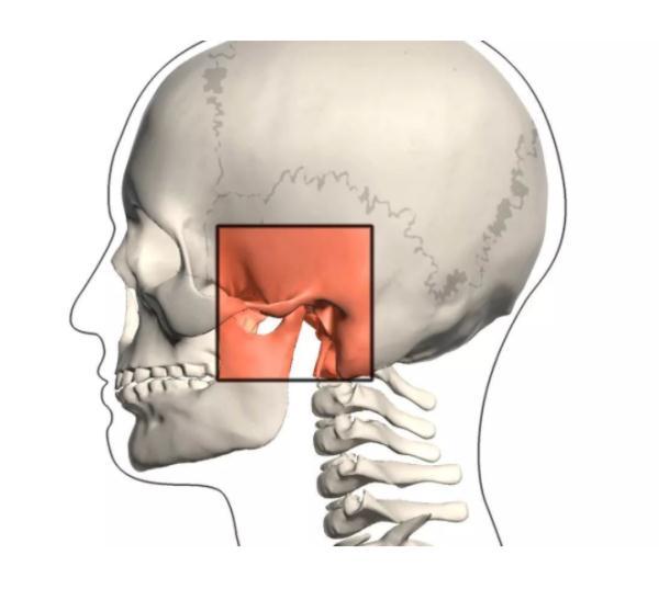 先了解一下——颞下颌关节颞下颌关节紊乱病根据以上线索,医生给出了