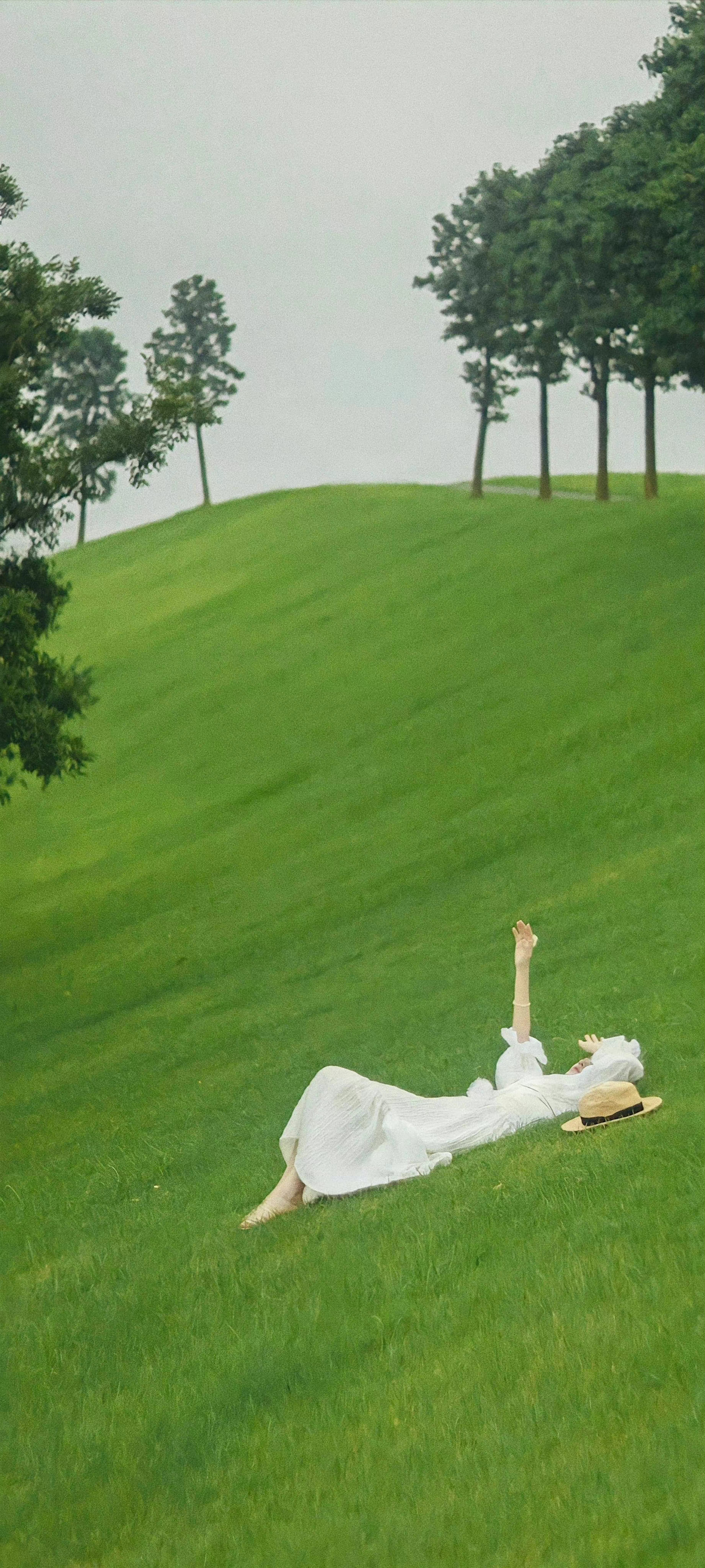 绿色系壁纸 好喜欢啊