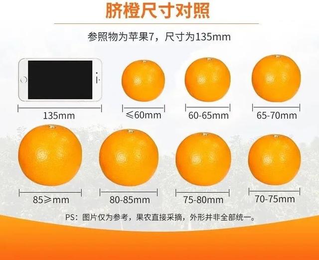 赣南脐橙进入最好吃的季节这个冬天是橙子味的