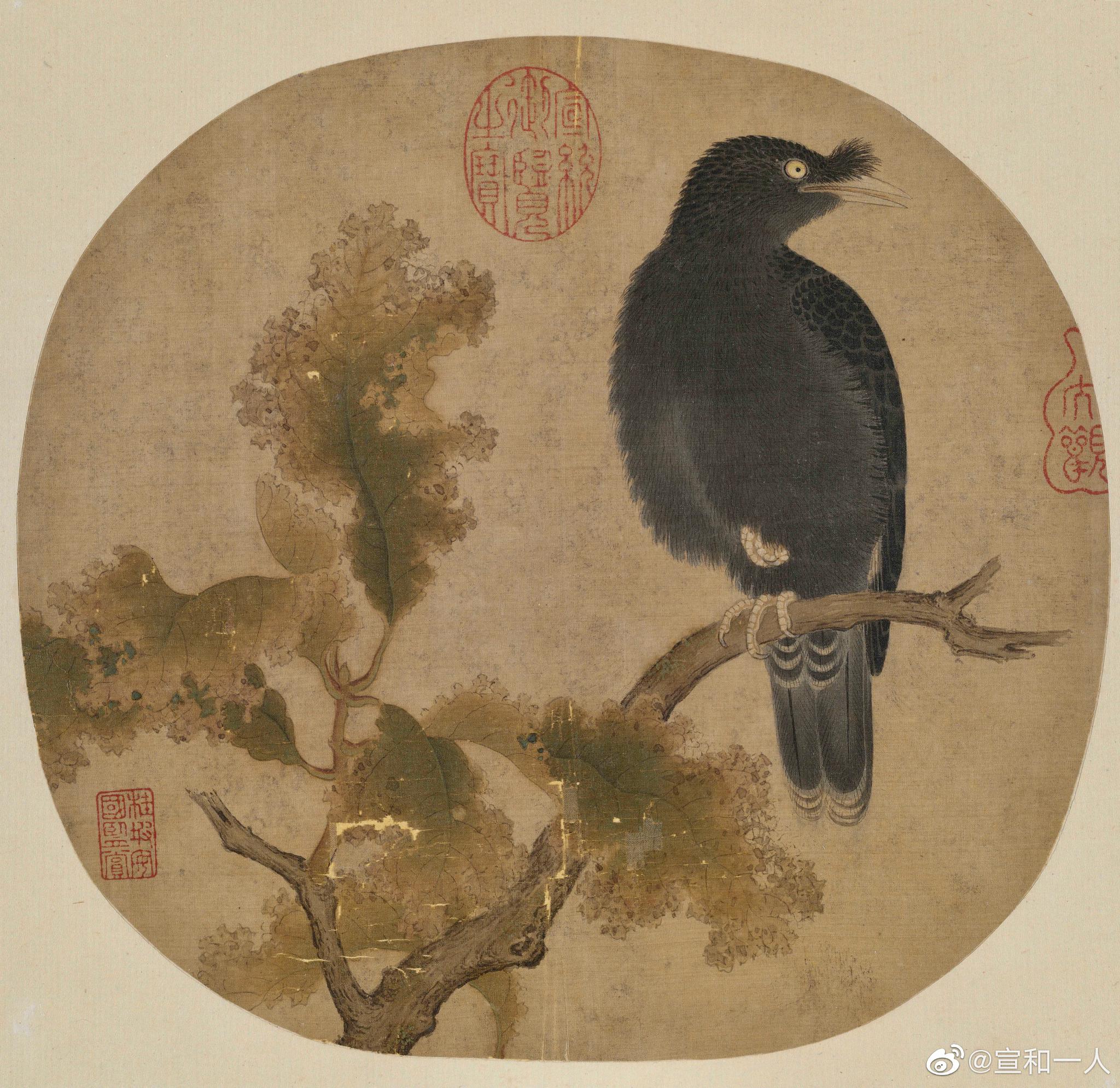 南宋佚名《秋树鸜鹆图》鸜鹆(鸲鹆(qúyù)-八哥鸟)一只鸜鹆栖于